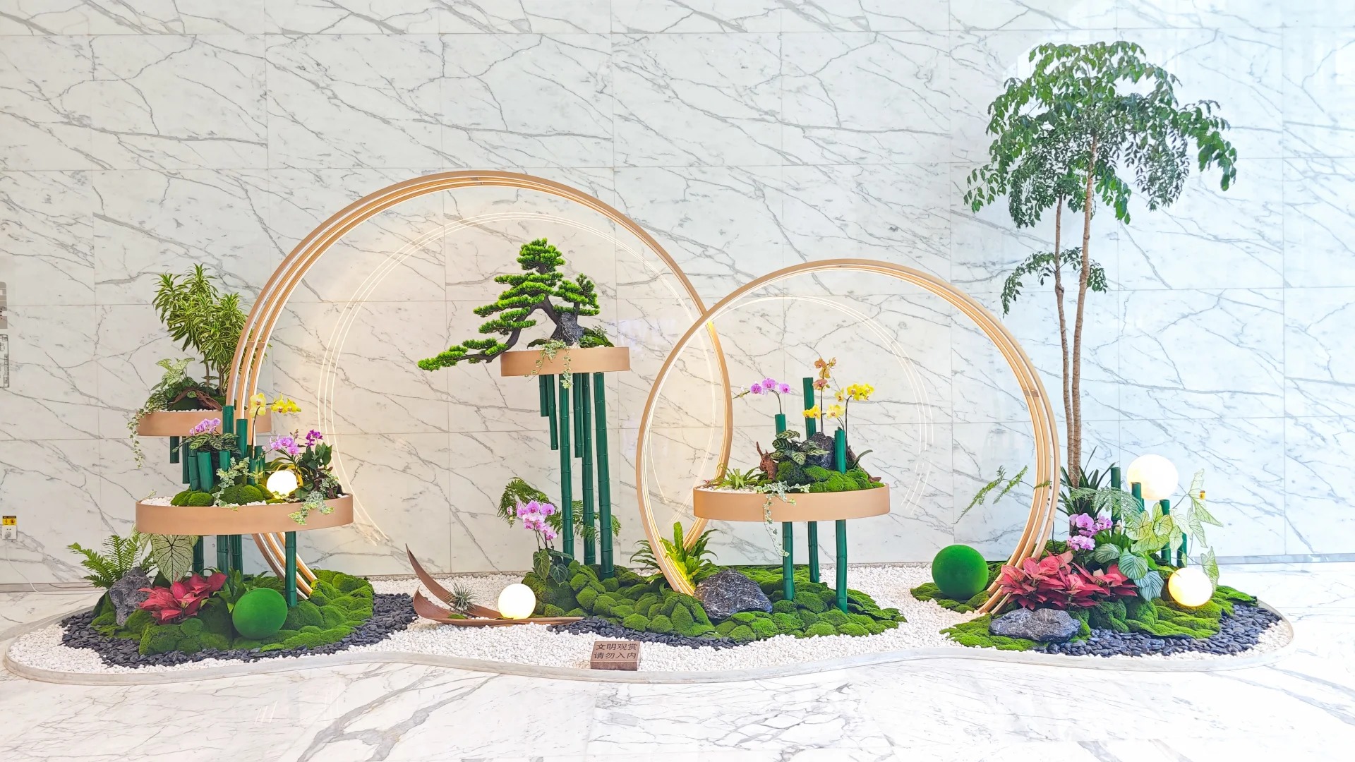 专业绿植出租，让宁波奉化的空间焕发生机